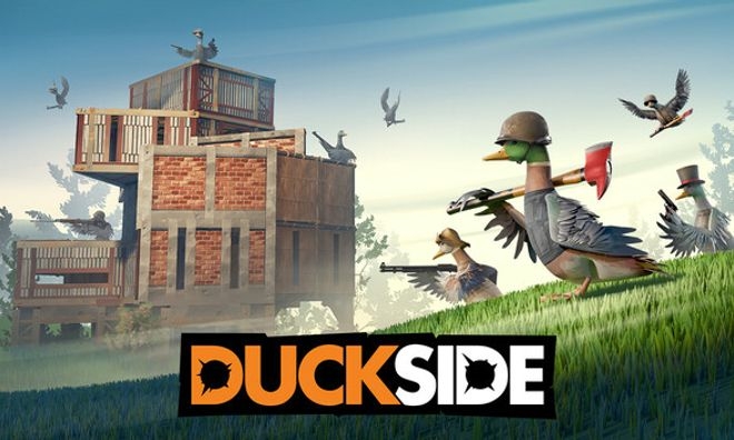 DUCKSIDE Standard Steam key Global cover
